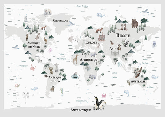 Carte du monde décorative - world-maps