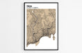 Charger l'image dans la visionneuse de la galerie, Plan de Nice - world-maps
