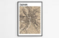 Charger l'image dans la visionneuse de la galerie, Plan de Toulouse - world-maps
